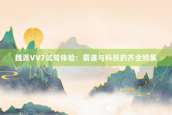 魏派VV7试驾体验：霸道与科技的齐全鸠集